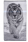 70х140 Полотенце махровое Тигр белый 5979 (Фото 1)